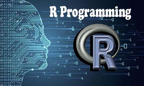 R Programming For Data Science