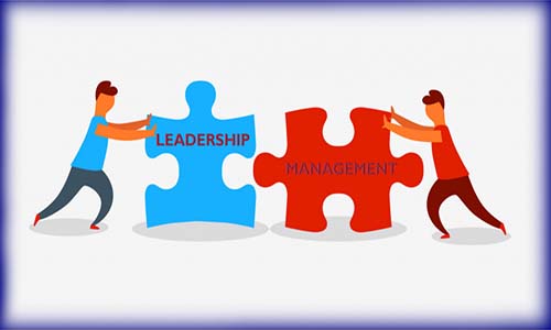 Management & Leadership