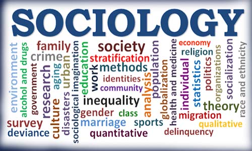 Sociology Course